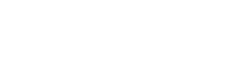 Raiden Space